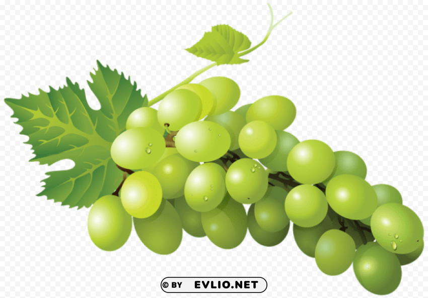 grape transparent PNG clipart with transparency