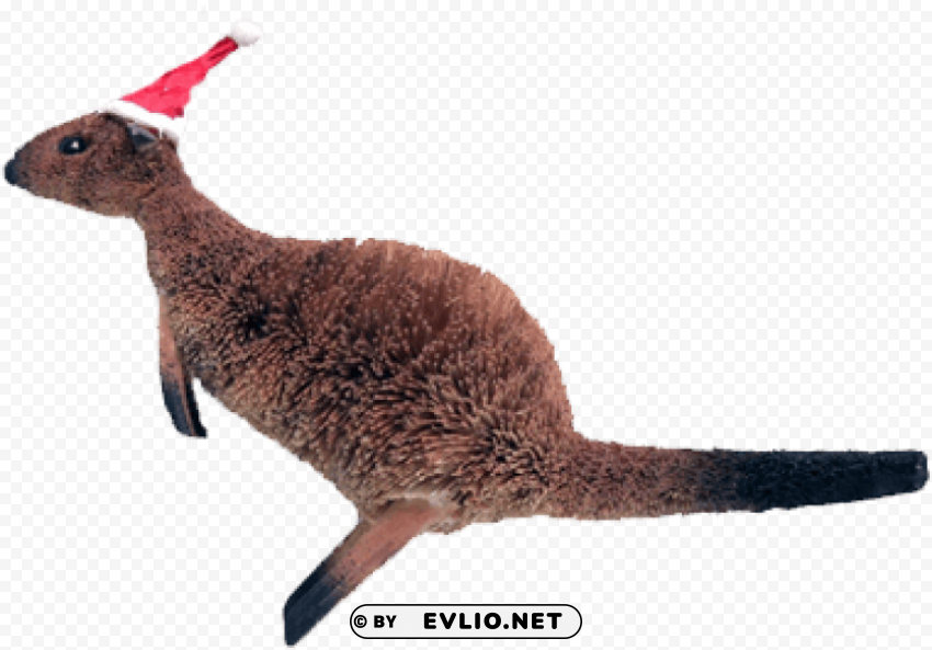 kangaroo with a santa hat High Resolution PNG Isolated Illustration