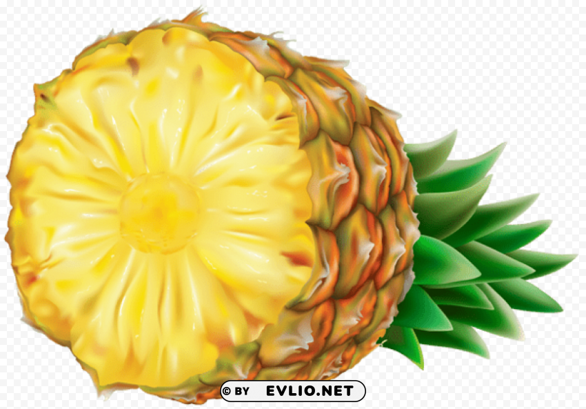 pineapple Clear PNG pictures bundle