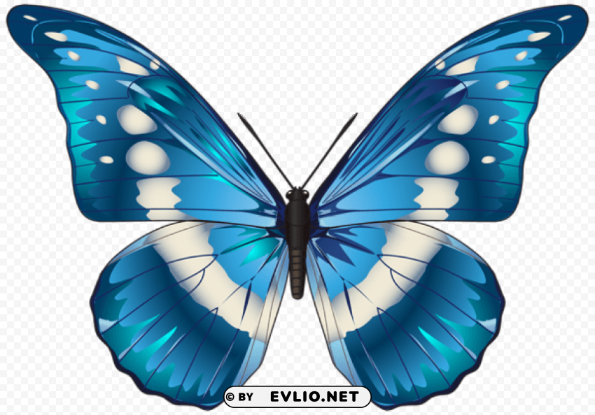 butterfly blue PNG images for personal projects clipart png photo - a85e2fd0