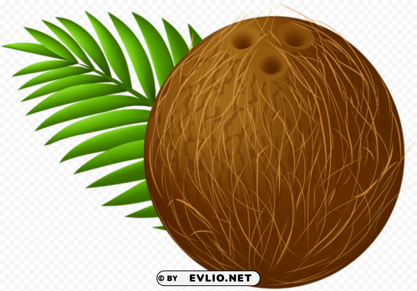coconut transparent Clear Background PNG Isolated Design Element