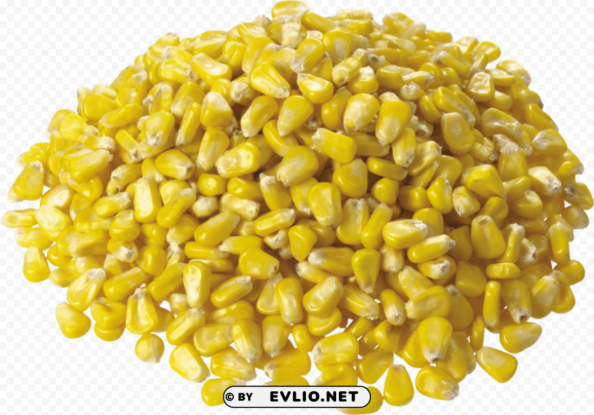 corn PNG images free download transparent background