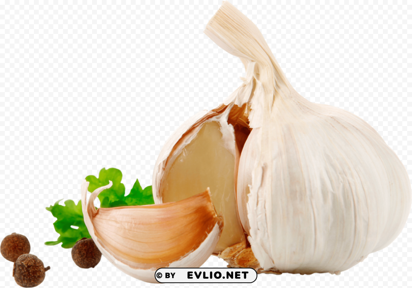 garlic Transparent PNG picture PNG images with transparent backgrounds - Image ID 9676cd3e