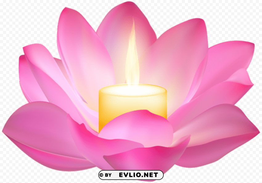 lotus candle PNG files with transparency