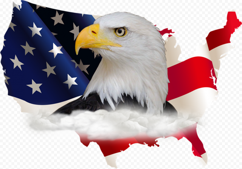 x with flag america plastisol transfer - american eagle flag PNG for blog use