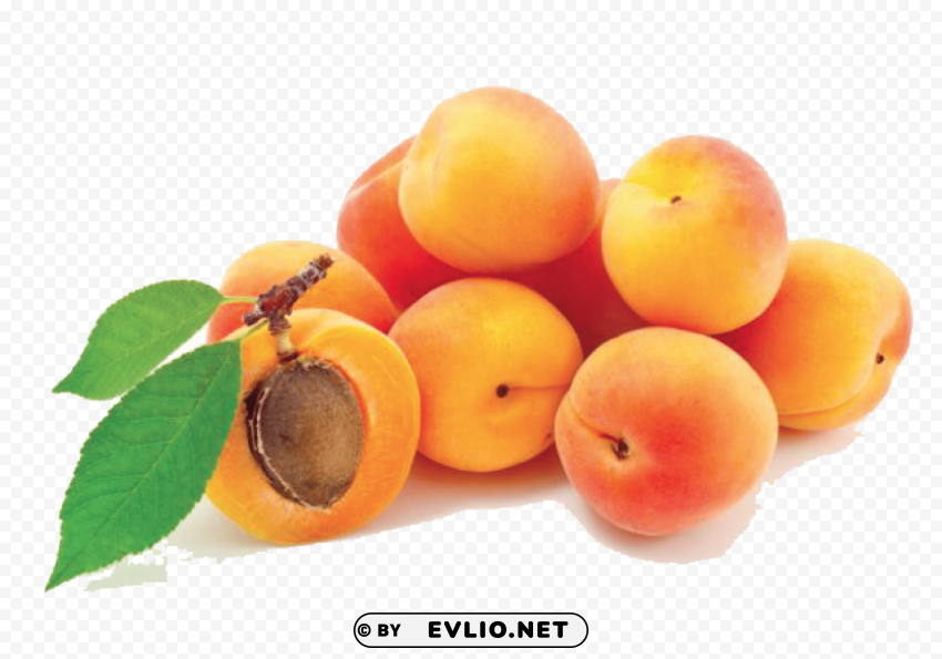apricot Isolated Element on Transparent PNG