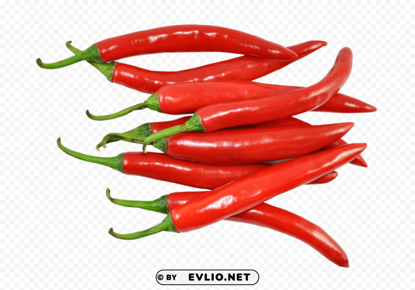 fresh red chillies Transparent PNG illustrations