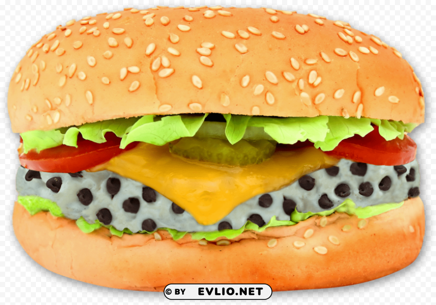 hamburger Clear background PNG elements