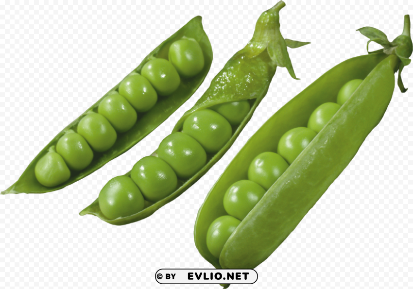 pea Transparent Background PNG Object Isolation
