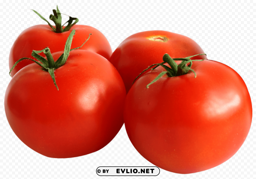 tomato Transparent PNG image free
