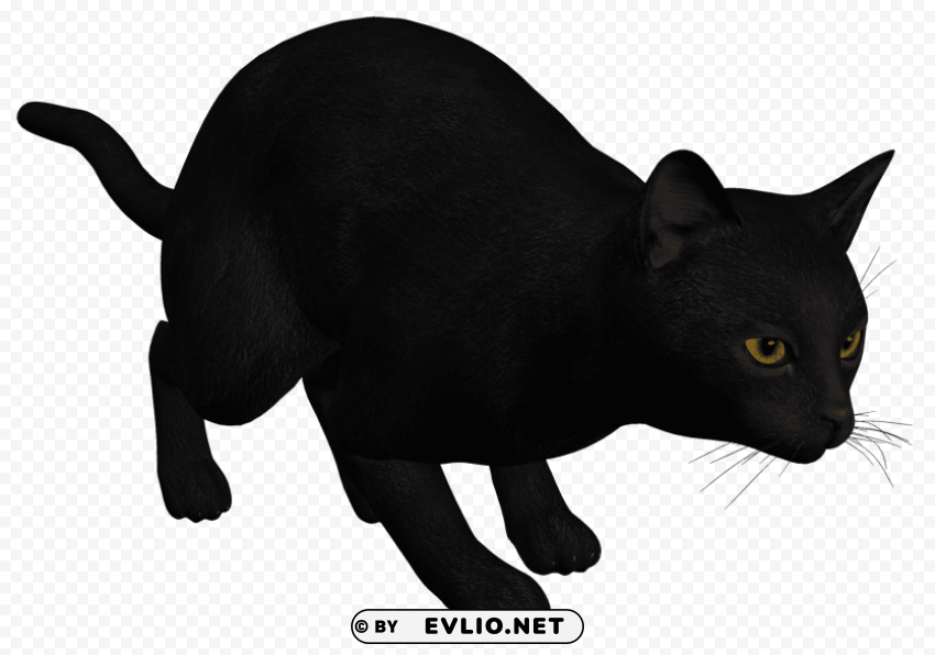 cat black PNG graphics for free clipart png photo - 47b63a58