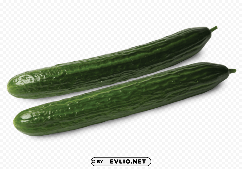 cucumbers PNG Graphic Isolated on Clear Backdrop