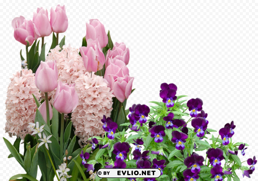 easter flowers PNG files with transparent canvas collection