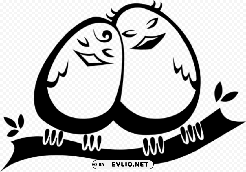 love birdsblack and white PNG images for websites PNG transparent with Clear Background ID bacd1677