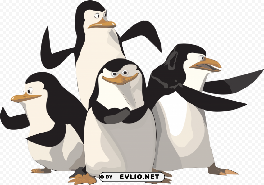 madagascar penguin Transparent PNG Isolated Graphic Detail clipart png photo - 13648f2c