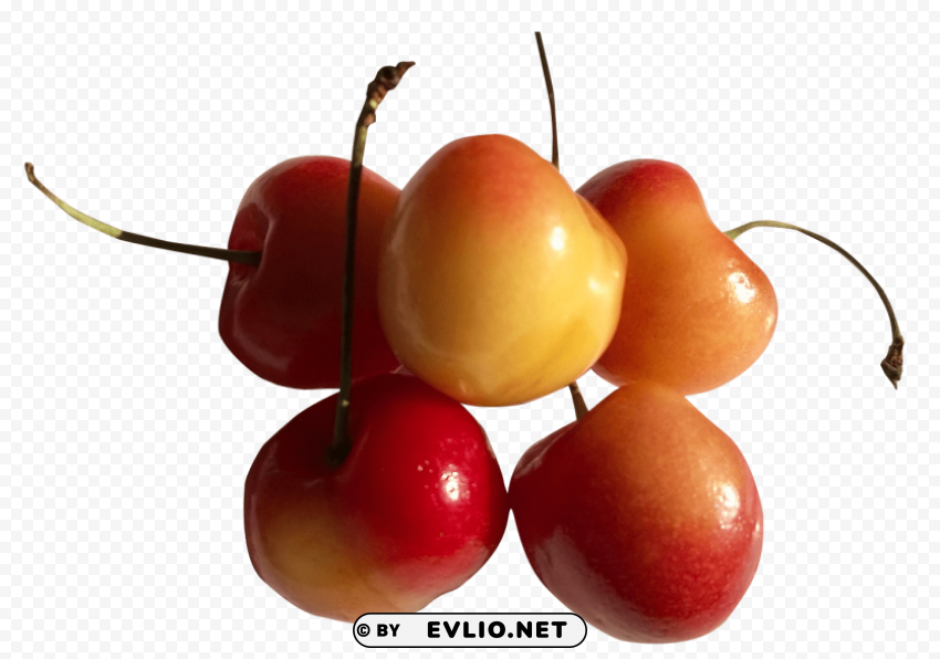 rainier cherries PNG Isolated Object on Clear Background
