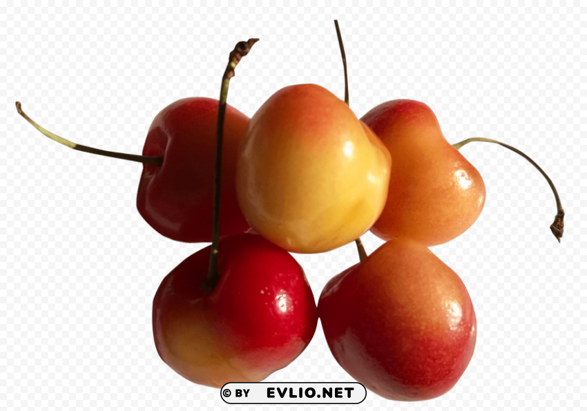 Rainier Cherry Isolated Object With Transparency In PNG