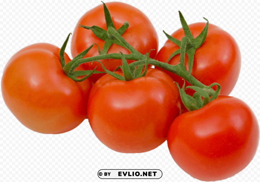 tomatoes on the vine Transparent PNG pictures archive