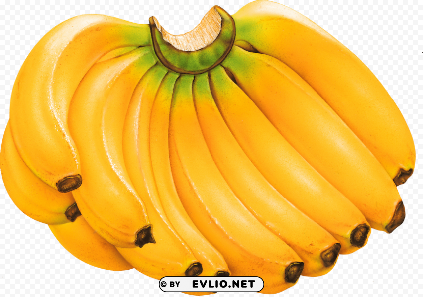 Bananas Clean Background Isolated PNG Design