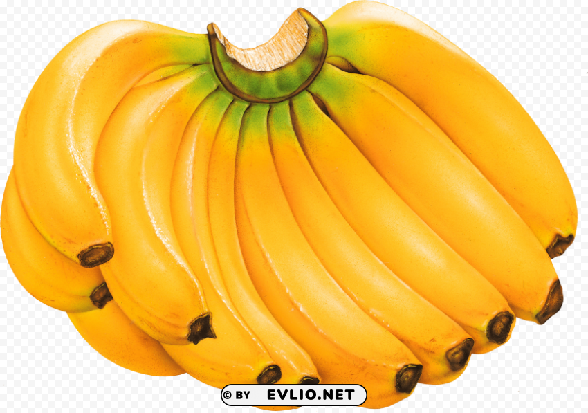 banana's Clean Background Isolated PNG Design PNG images with transparent backgrounds - Image ID a6f55b8d