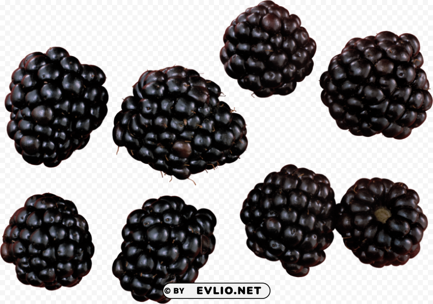 blackberry Isolated Subject in Transparent PNG Format