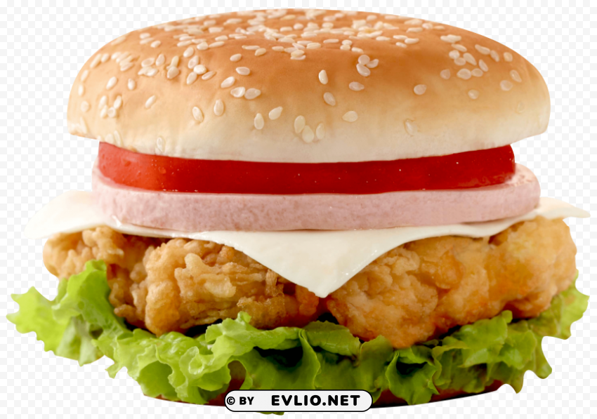 Burger PNG Images For Printing