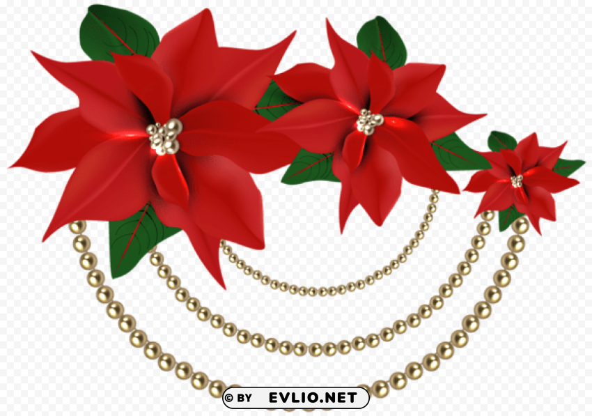 decorative christmas poinsettias with pearls Transparent Background Isolation in HighQuality PNG