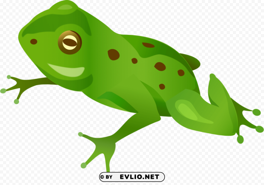 frog Isolated Graphic in Transparent PNG Format
