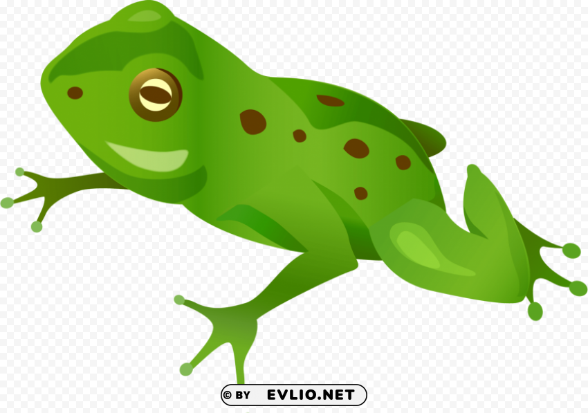 Frog Isolated Graphic In Transparent PNG Format