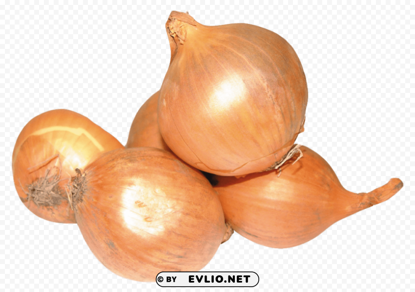 onion Clear background PNG images diverse assortment