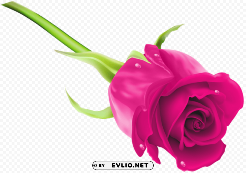 PNG image of pink rose Transparent PNG image with a clear background - Image ID 465185d9