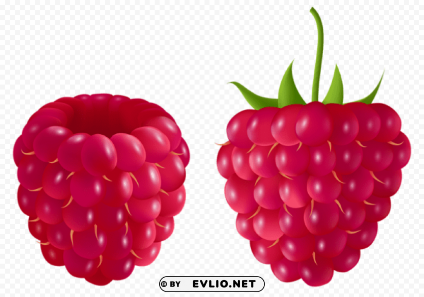 Transparent Raspberrypicture PNG Pictures Without Background