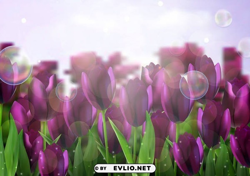 with purple tulips Free PNG images with transparent layers diverse compilation