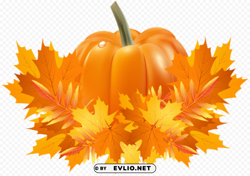 fall leaves and pumpkin decoration png No-background PNGs