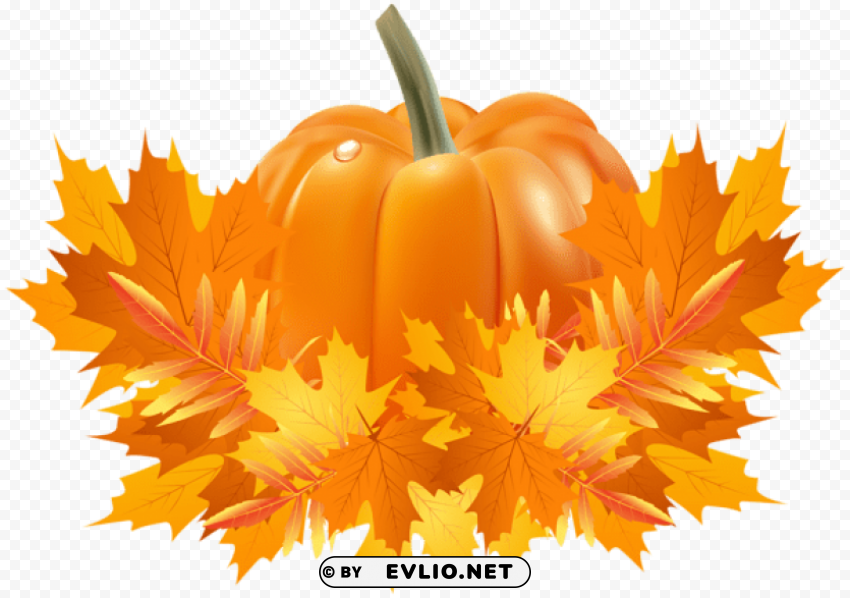 fall leaves and pumpkin decoration PNG art