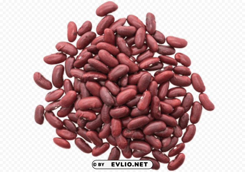 kidney beans Transparent PNG illustrations