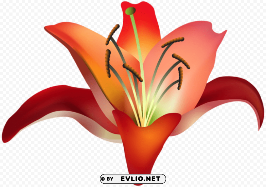 red flower PNG transparent images for printing