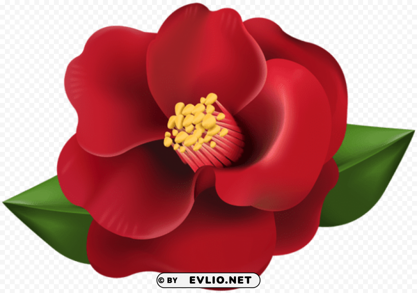Red Flower Transparent PNG Images With No Attribution