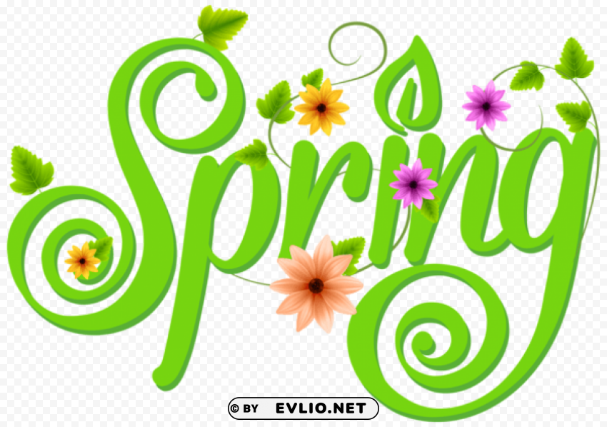 spring decoration PNG with Clear Isolation on Transparent Background