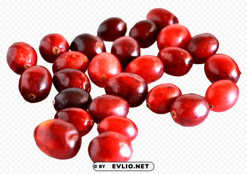 Cranberry Isolated Graphic Element in HighResolution PNG