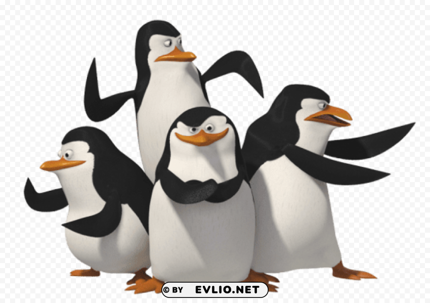 transparent penguins of madagascar PNG pictures without background