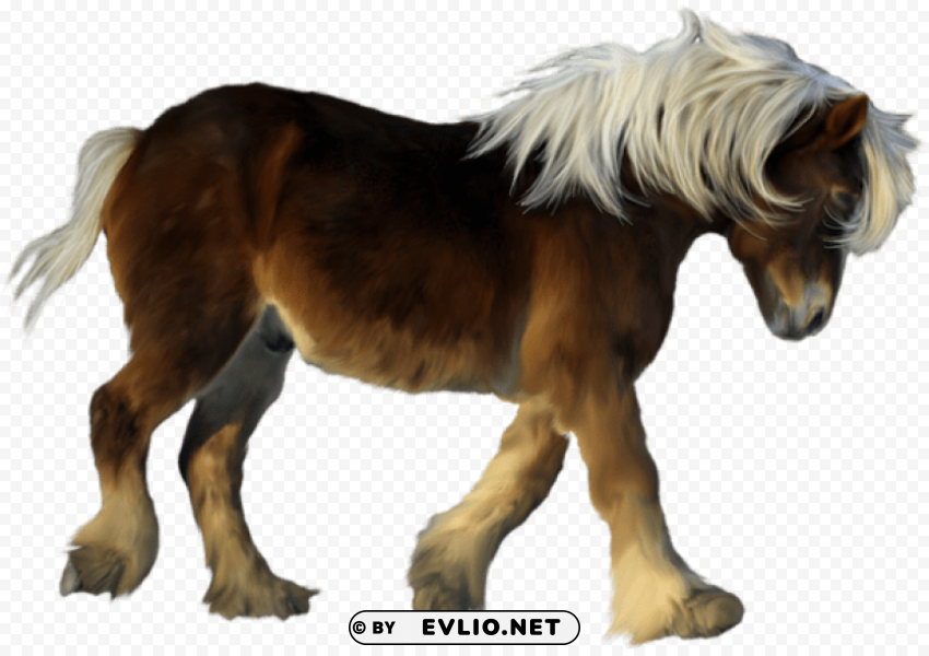 brown pony 3d PNG files with transparent elements wide collection