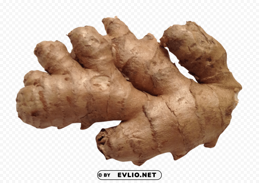 ginger Transparent PNG images collection
