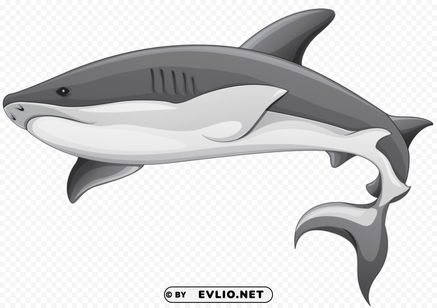 grey shark Transparent Background Isolation in HighQuality PNG
