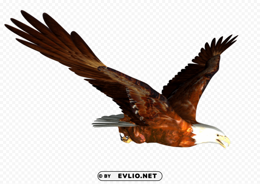 Animated Bald Eagle Flying PNG Download Free