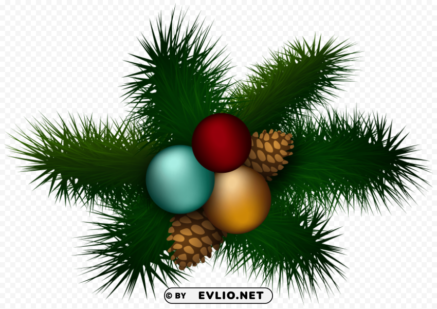 christmas pine decoration Isolated Artwork on Clear Background PNG