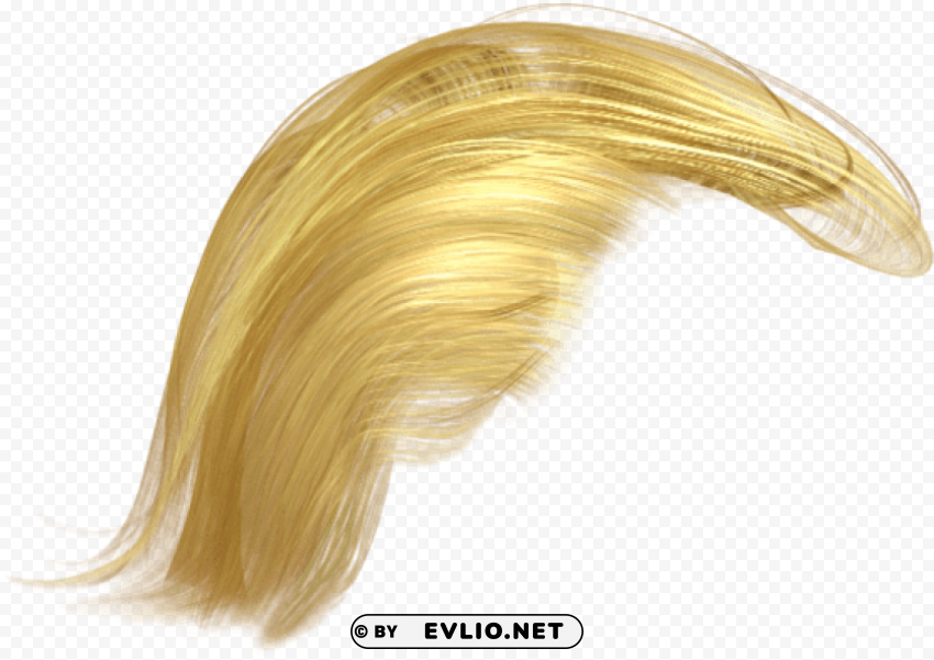 donald trump hair PNG Graphic with Transparent Background Isolation
