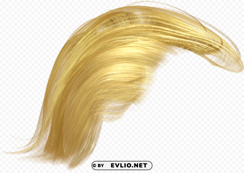 Donald Trump Hair PNG Graphic With Transparent Background Isolation