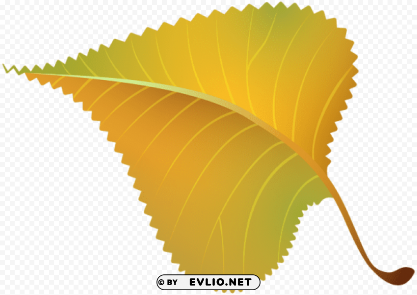 fall yellow leaf PNG Image with Clear Isolation