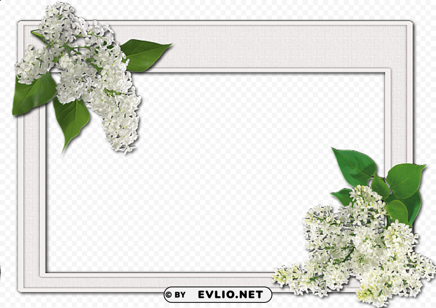 flowers frame 12 PNG images with clear alpha layer